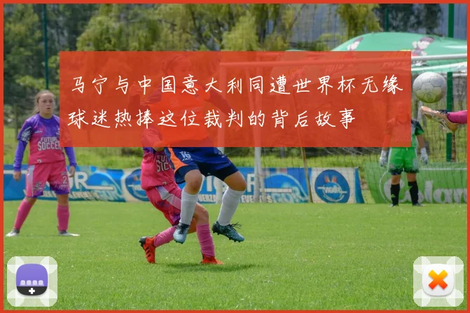 马宁与中国意大利同遭世界杯无缘球迷热捧这位裁判的背后故事